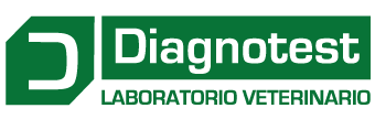 Idexx Logo